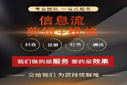 行业领先企业的SEM代理案例剖析